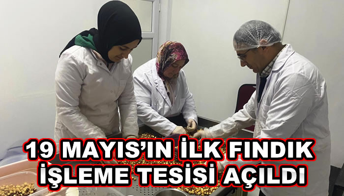 19 MAYIS’IN İLK FINDIK İŞLEME TESİSİ AÇILDI