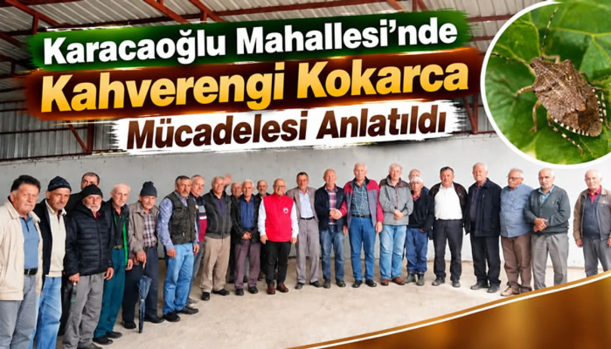 Karacaoğlu Mahallesi&rsquo;nde Kahverengi Kokarca M&uuml;cadelesi Anlatıldı